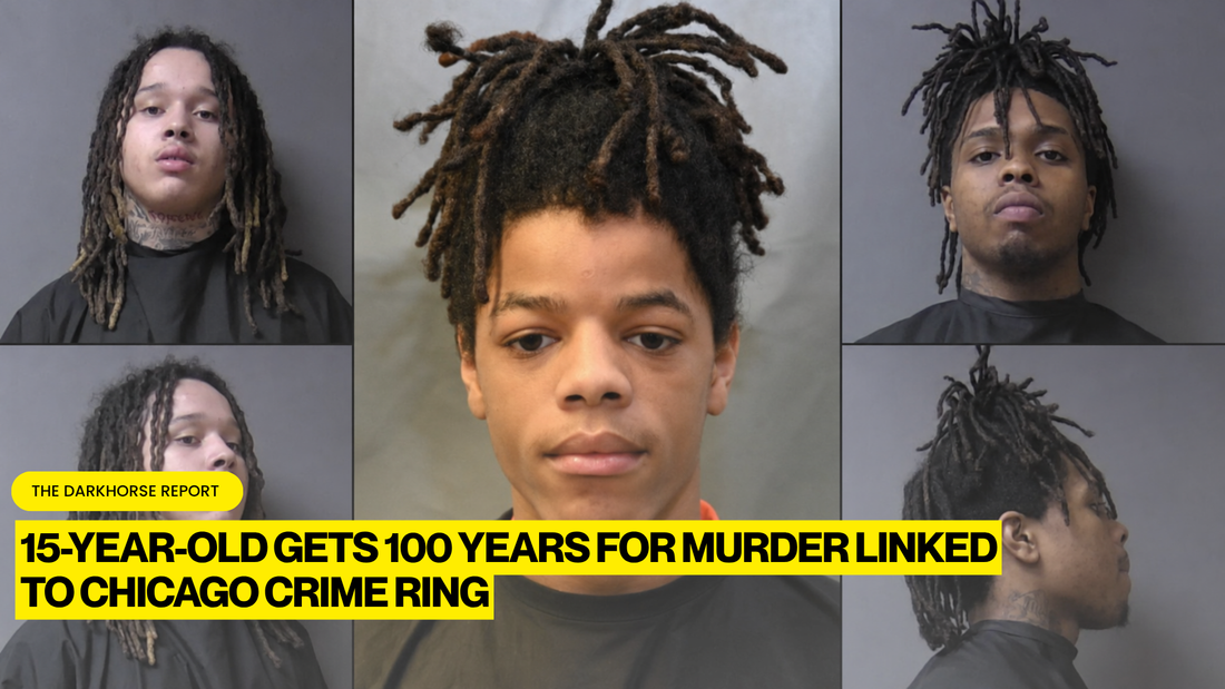 15-YEAR-OLD SENTENCED TO 100 YEARS IN INDIANA MURDER CASE TIED TO CHICAGO CRIME ORGANIZATION MICKEY COBRA NATION