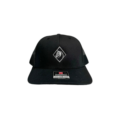 The DARKHORSE snapback